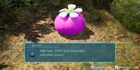 purple onion pikmin 4|pikmin purple onion walkthrough.